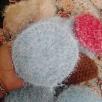 اسکاج|لوازم نظافت|دهگلان, |دیوار