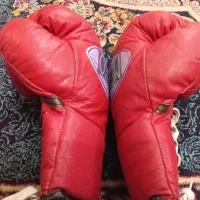 دسکش بکس MEXICO مفت|تجهیزات ورزشی|شیراز, کوشک میدان|دیوار