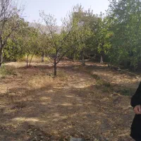 اجاره باغ|اجارهٔ خانه و ویلا|هشتگرد, فشند|دیوار