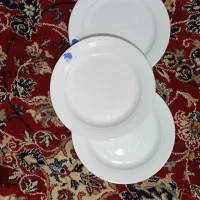 بشقاب ملامین ۲۴عدد