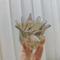 ۱۳ عدد لاله لوستر و اویز همراه لامپ کم مصرف|لوستر و چراغ آویز|سهند, |دیوار