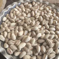 پسته اکبری|خوردنی و آشامیدنی|شیراز, گلشن|دیوار