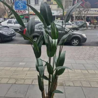 درختچه  ۱۸۰ سانت سبز مصنوعی برگ لمسی