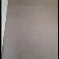 موکت فیلی رنگ