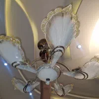 لوستر وارداتی