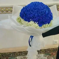 valentain|گل مصنوعی|قم, نیروگاه|دیوار