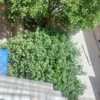 سوییت برای اجاره روزانه و کوتاه مدت|اجارهٔ کوتاه‌مدت آپارتمان و سوئیت|کاشان, مفتح|دیوار