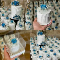 کیک های تولد خانگی (خامه ای و فوندانت)|خدمات پذیرایی، مراسم|رشت, یخسازی|دیوار