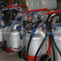 دستگاه شیردوش گاو صنعتی مناسب دامداری CowMilk-Pro