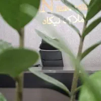 فروش-اپارتمان-تک-واحدی-سه-خوابه-مستوفی-شهید-زارعی