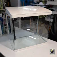 آکواریوم و بخاری و فیلتر آب و وسایل|ماهی|روانسر, |دیوار