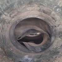 لاستیک لودر