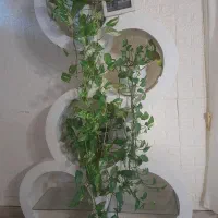 جاگلدانی با گل یک تومن