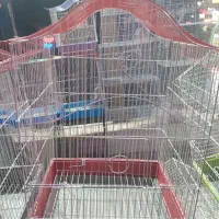 کلکسیون قفس پرنده|لوازم جانبی حیوانات|تربت‌حیدریه, شهید قرنی|دیوار