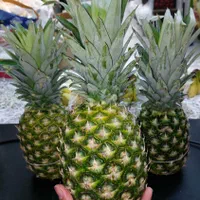 آناناس وارداتی برند Dole + هایپر میوه گلچین