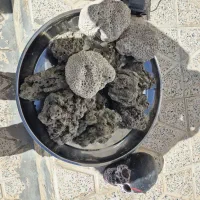 وسایل آکواریوم