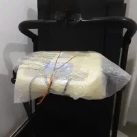 تردمیل تایوانی|تجهیزات ورزشی|مشهد, سمزقند|دیوار