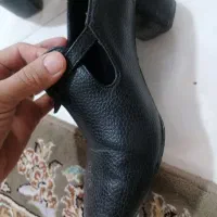 کفش زنانه|کیف، کفش، کمربند|نیشابور, شهرک فیروزه|دیوار