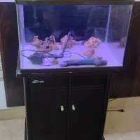 آکواریوم شرکتی با میز