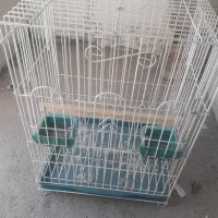 دو عدد قفس|لوازم جانبی حیوانات|پردیس, فاز ۸|دیوار