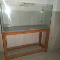 آکواریوم
