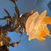 دوعددلوسترصادراتی آبکاری شده