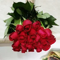 گل رز هلندی محصول باکیفیت|گل و گیاه طبیعی|تهران, نیلوفر|دیوار