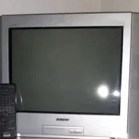 تلویزیون
