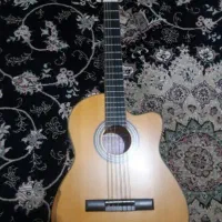 گیتار نوع نوع|گیتار، بیس، امپلیفایر|رشت, اسماعیل آباد|دیوار