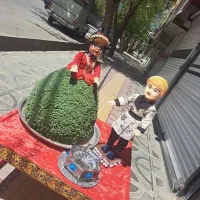 تشریفات سیگنال|خدمات پذیرایی، مراسم|بروجرد, |دیوار