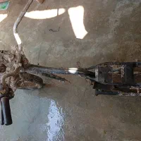 رامشیر تنه با مدارک 125