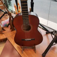 گیتار ایرانی