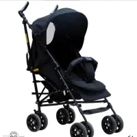 کالسکه دلیجان