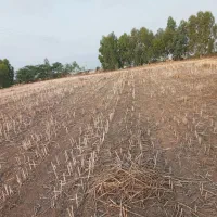 فروش ۶۰۰۰ متری