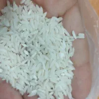 برنج هاشمی درجه یک ۱