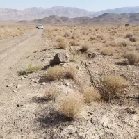 4750متر 400هکتاری برزک|فروش زمین و ملک کلنگی|برزک, |دیوار