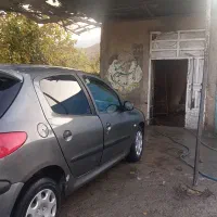 ۲۰۶ دور رنگ