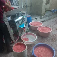 خرد کن برقی ابگوجه گیری ابگیری
