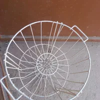 جاسیب زمینی وپیاز