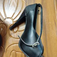 کفش مجلسی|کیف، کفش، کمربند|رشت, دیلمان|دیوار