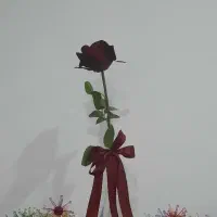 دسته گل عروس/گل مصنوعی/گلدان/ست تل و دستبندگل|گل مصنوعی|لاهیجان, کوی آزادگان|دیوار