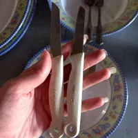 ظروف ملامین تورزن ،قاشق و چنگال، پارچ آب استیل|ظروف سرو و پذیرایی|تنکابن, |دیوار