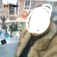 کاپشن چرم بوفالو اصل امریکایی