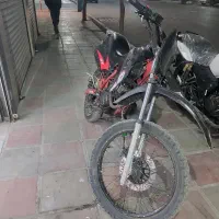 تریل مزایده