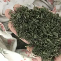 نعناخشک