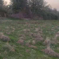 زمین
