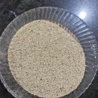 بذر گیاه عطاری هلندی|گل و گیاه طبیعی|کرمانشاه, |دیوار