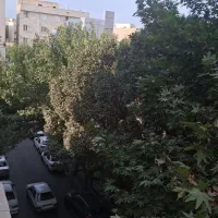 85متری دوخواب با پارکینگ|فروش آپارتمان|تهران, گلچین|دیوار