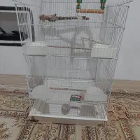 قفس