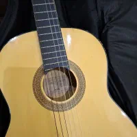 گیتار آلوارز با کاور